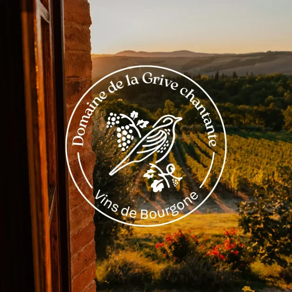 Logo-domaine-vignoble